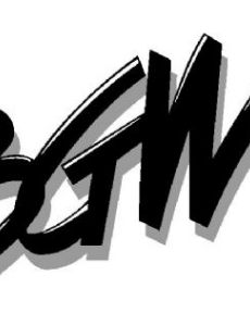 BGW Systems