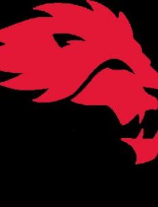 York Lions football