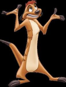 Timon and Pumbaa