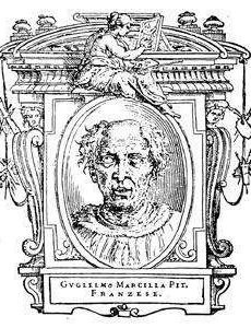 Guillaume de Marcillat