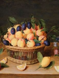 Jacob van Hulsdonck