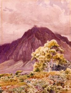 Henry Otto Wix