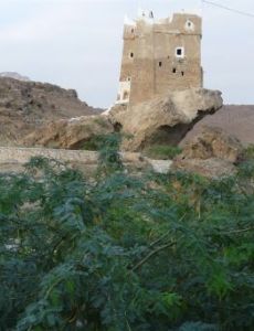 Fort Al-Ghwayzi