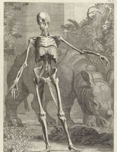 Charles Grignion the Elder