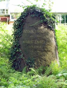 Adolf Engler