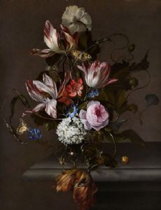Anna Ruysch