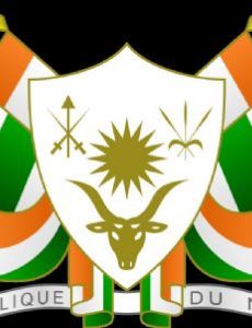 Nigerien Democratic Front