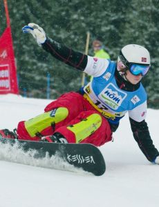 Hilde-Katrine Engeli