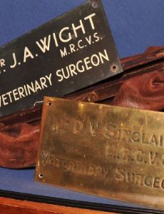 Donald Sinclair (veterinary surgeon)