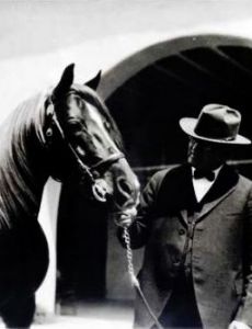 W. K. Kellogg Arabian Horse Center