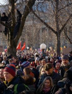 2024 German anti-extremism protests
