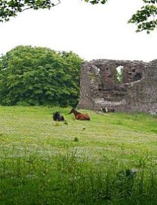 Carra Castle, Antrim