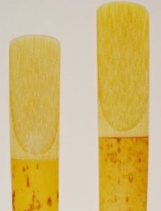 Woodwind instrument
