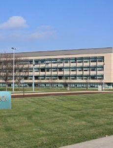 Merck & Co.