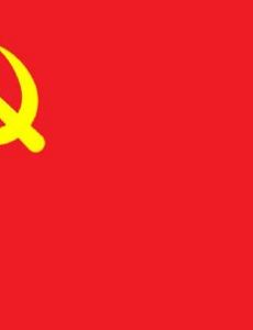 Vice Chairman of the Chinese Communist Party