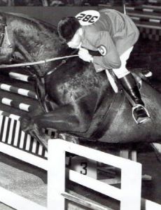 Thomas Gayford