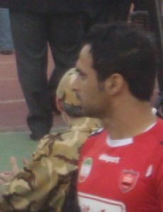 Hadi Norouzi