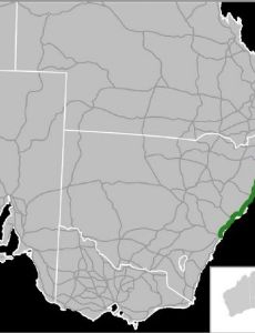 Pacific Highway (Australia)