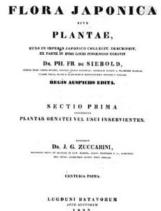 Joseph Gerhard Zuccarini