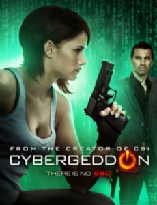 Cybergeddon