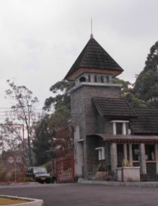 Cibodas Botanical Garden