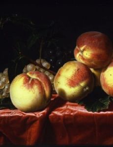 Charlotte Vignon