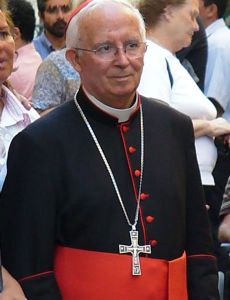 Antonio Cañizares Llovera