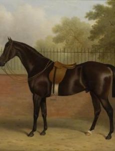 John Paul (artist)