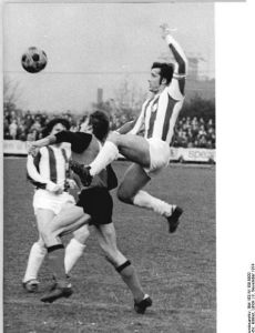 Manfred Zapf