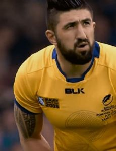 Florin Vlaicu