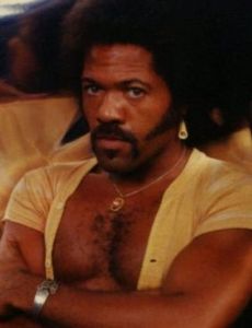 Fuzzy Haskins