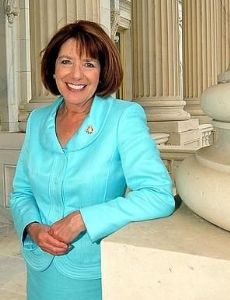 Susan Davis (politician)