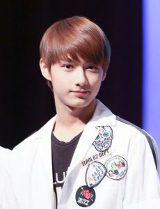 Wen Junhui