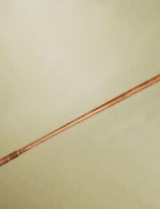 Walking stick