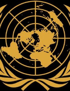 United Nations Economic and Social Council