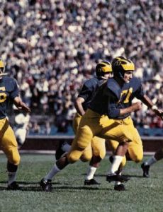 1959 Michigan Wolverines football team