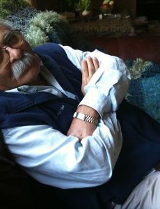 Mahmoud Seraji