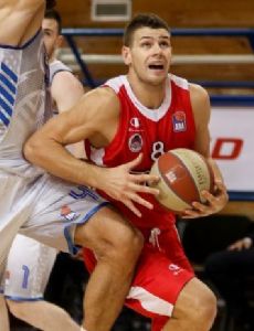 Dragan Apić