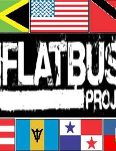 East Flatbush Project