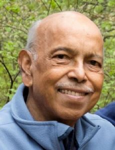 Ramanathan Gnanadesikan