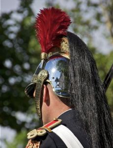 Plume (feather)