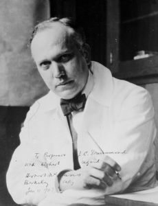 Herbert McLean Evans