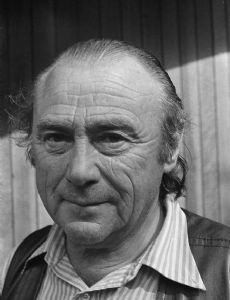 Bert Schierbeek
