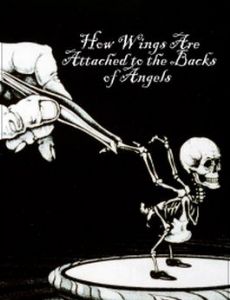 How Wings Are Attached to the Backs of Angels