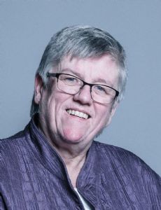 Deborah Stedman-Scott, Baroness Stedman-Scott
