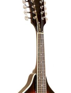 Mandolin