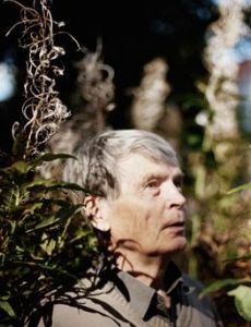 Antti Hyry