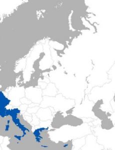 EU Med Group