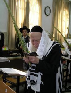 Aryeh Finkel