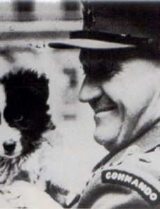 Roger Courtney